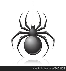 Black scary spider insect isolated on white background emblem vector illustration