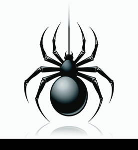 Black scary spider insect isolated on white background emblem vector illustration