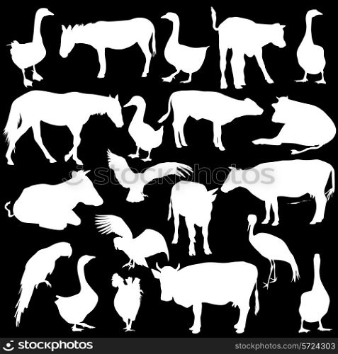 Black set silhouettes zoo animals collection on white background. Vector illustration.