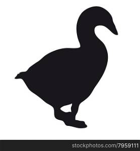 Black silhouette adult big goose on a white background.