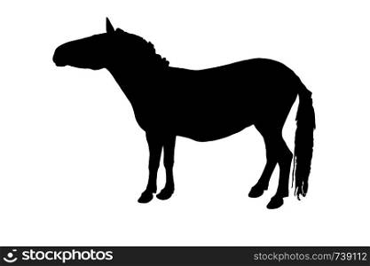 Black Silhouette Horse Vector illustration eps 10 isolated on white background. Black Silhouette Horse Vector illustration eps 10