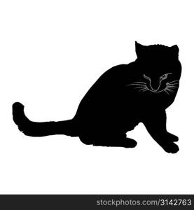 Black silhouette of a cat