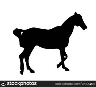 Black silhouette of a horse on a white background. Vector Illustration EPS10. Black silhouette of a horse on a white background. Vector Illustration