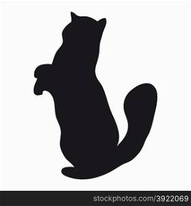 Black silhouette of a large adult cat isolated on a light background. Cat standing on his hind legs and reaches up.