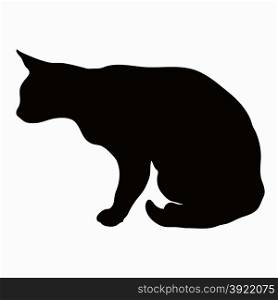 Black silhouette of a large adult cat isolated on a light background. Cat sitting in wait for their prey arched his back.