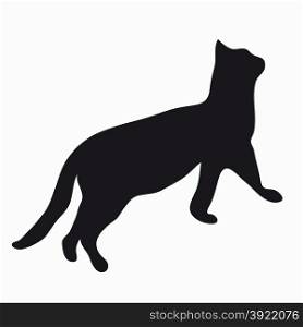 Black silhouette of a large adult cat isolated on a light background. The cat reaches up and prepares to jump.
