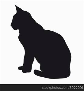 Black silhouette of a large adult cat isolated on a light background. The cat was hiding and sitting watching prey.