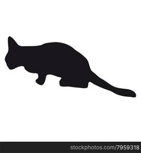 Black silhouette of a large adult cat isolated on a light background. The cat is lying and waiting for prey.
