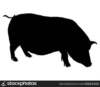 Black silhouette of a pot-bellied pig on white