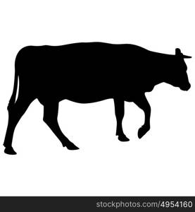 Black silhouette of cash cow on white background. Black silhouette of cash cow on white background.