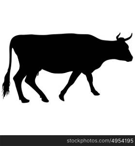 Black silhouette of cash cow on white background. Black silhouette of cash cow on white background.
