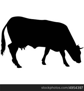 Black silhouette of cash cow on white background. Black silhouette of cash cow on white background.