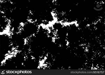 Black silhouette of pine tree top branches.