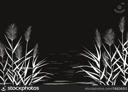 Black silhouette of reeds.Vector illustration.Sedge, cane, bulrush, or grass on a white background.. Black silhouette of reeds, sedge, cane, bulrush, or grass on a white background.Vector illustration.