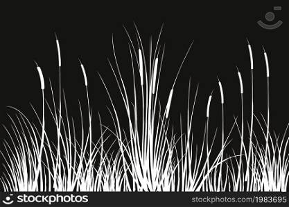 Black silhouette of reeds.Vector illustration.Sedge, cane, bulrush, or grass on a white background.. Black silhouette of reeds, sedge, cane, bulrush, or grass on a white background.Vector illustration.