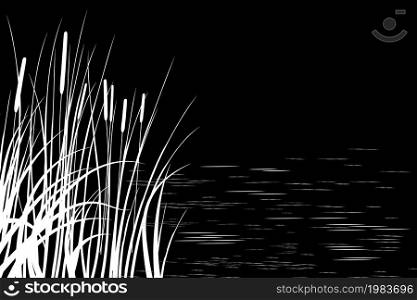 Black silhouette of reeds.Vector illustration.Sedge, cane, bulrush, or grass on a white background.. Black silhouette of reeds, sedge, cane, bulrush, or grass on a white background.Vector illustration.