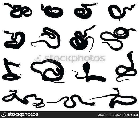 Black silhouette of snakes on a white background — Stockphotos.com