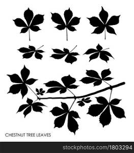 Black silhouettes of CHESTNUT tree leaves isolated on white. Autumn fallen leaves of CHESTNUT tree. Vector