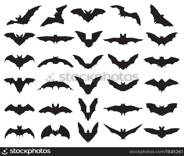 Black silhouettes of different bats on a white background