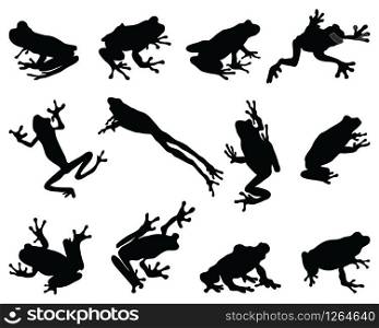 Black silhouettes of frog on a white background