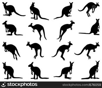 Black silhouettes of kangaroo on a white background