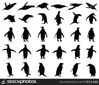 Black silhouettes of penguins on a white background