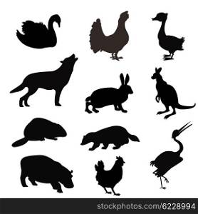 Black silhouettes of the beasts and birds on white background. Silhouettes of the beasts and birds