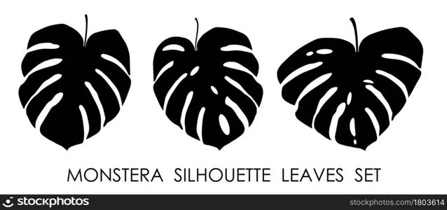 Black silhouettes of tropical plant Monstera leaves. Leaves of rainforest plants. Vector isolated on white background