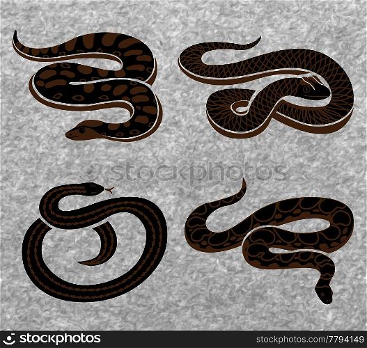 Black snakes set of reptiles with various ornaments on textured grey background isolated vector illustration . Black Snakes Set