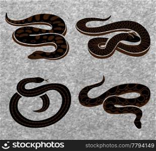 Black snakes set of reptiles with various ornaments on textured grey background isolated vector illustration . Black Snakes Set