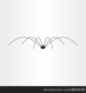 black spider insect vector