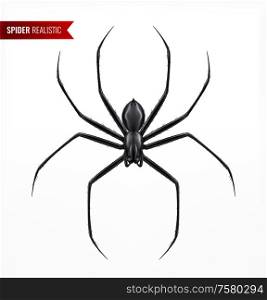 Black spider realistic composition with top view image of arthropod insect with text on blank background vector illustration