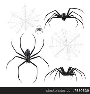 Black spiders realistic set with isolated images of spiderweb crackles and arthropod insects on blank background vector illustration