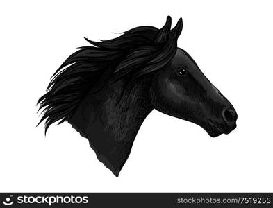 Black stallion horse head sketch with purebred racehorse of arabian breed. Horse racing badge, equestrian sporting competition symbol or t-shirt print design. Black stallion horse sketch with racehorse head