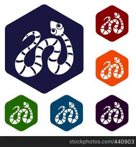 Black striped snake icons set hexagon isolated vector illustration. Black striped snake icons set hexagon