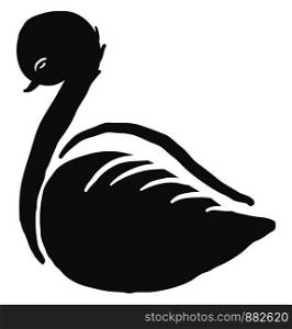 Black swan sketch, illustration, vector on white background.