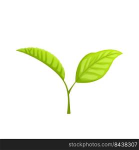 black tea leaf cartoon. healthy drink, summer food, organic plant black tea leaf vector illustration. black tea leaf cartoon vector illustration