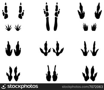Black traces of kangaroo paws on a white background