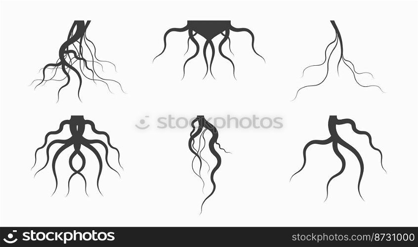 Black tree roots silhouettes icon set. Symmetrical and asymmetric branching roots. Flat vector illustration isolated on white background.. Black tree roots silhouettes icon set. Flat vector illustration isolated on white