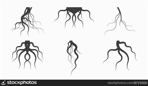 Black tree roots silhouettes icon set. Symmetrical and asymmetric branching roots. Flat vector illustration isolated on white background.. Black tree roots silhouettes icon set. Flat vector illustration isolated on white