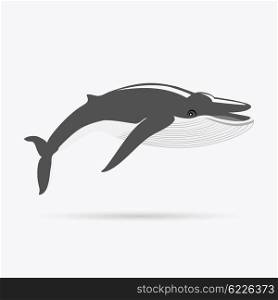 Black Whale Isolated on White Background. Black monochrome whale isolated on white background. Largest animal in world. Huge creating floating in the ocean or the sea. Big mammal whale with tail and fin living in water. Vector illustration