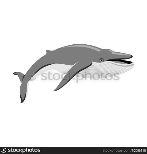 Black Whale Isolated on White Background. Black monochrome whale isolated on white background. Largest animal in world. Huge creating floating in the ocean or the sea. Big mammal whale with tail and fin living in water. Vector illustration