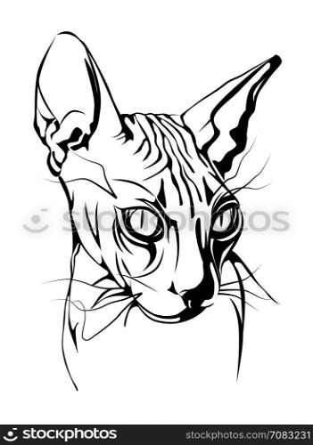 black-white graphic portrait of the Canadian sphinx cat. Design can be used for t-shirt.