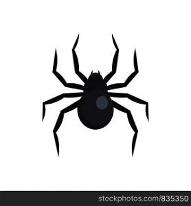 Black widow spider icon. Flat illustration of black widow spider vector icon for web isolated on white. Black widow spider icon, flat style