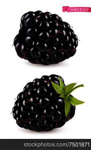 Blackberry, 3d realistic vector icon