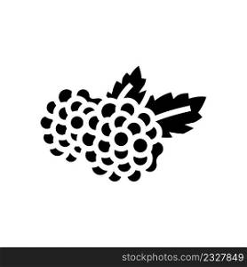blackberry berry glyph icon vector. blackberry berry sign. isolated contour symbol black illustration. blackberry berry glyph icon vector illustration