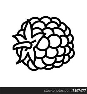 blackberry berry leaf line icon vector. blackberry berry leaf sign. isolated contour symbol black illustration. blackberry berry leaf line icon vector illustration