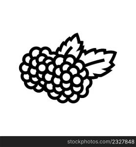 blackberry berry line icon vector. blackberry berry sign. isolated contour symbol black illustration. blackberry berry line icon vector illustration
