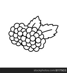 blackberry berry line icon vector. blackberry berry sign. isolated contour symbol black illustration. blackberry berry line icon vector illustration