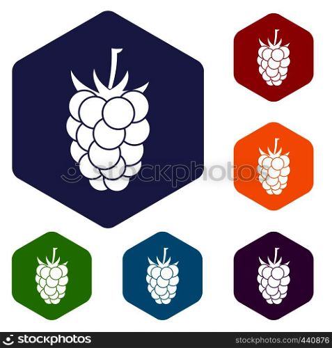Blackberry fruit icons set hexagon isolated vector illustration. Blackberry fruit icons set hexagon